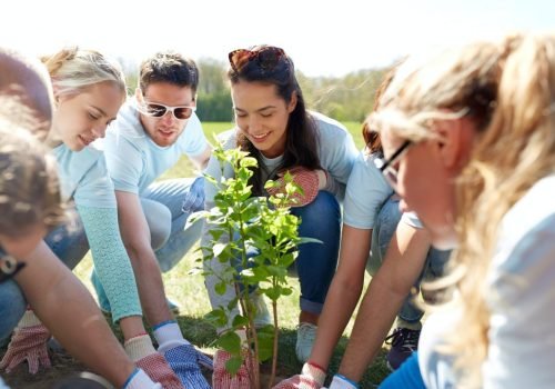 group-of-volunteers-planting-tree-in-park.jpg